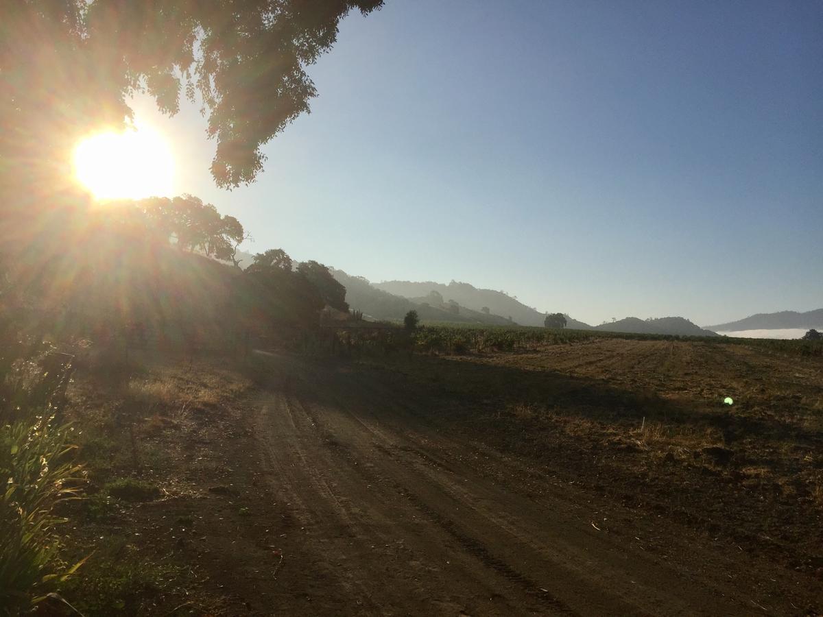 圣海伦娜Rustridge Ranch & Winery住宿加早餐旅馆 外观 照片