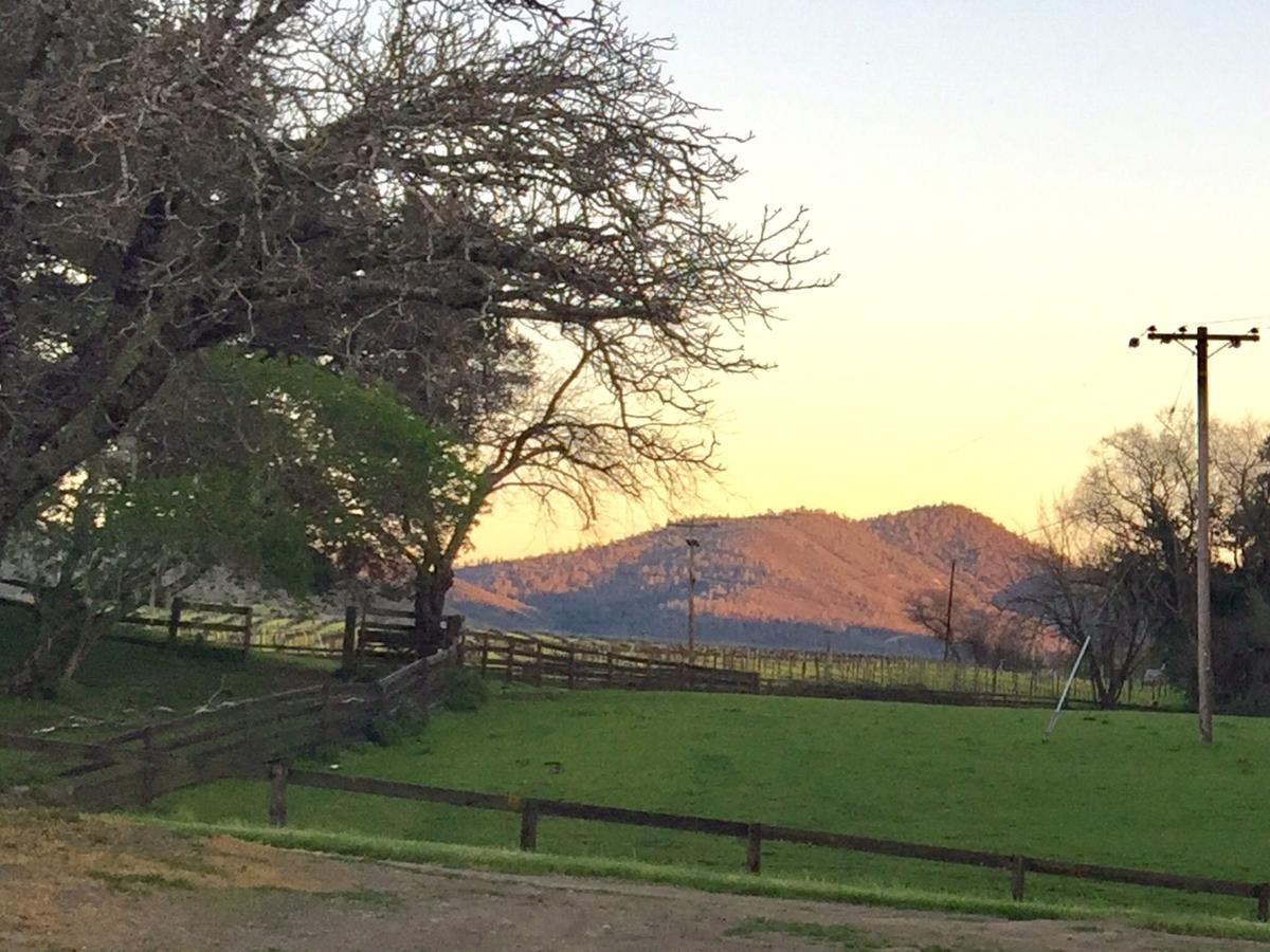 圣海伦娜Rustridge Ranch & Winery住宿加早餐旅馆 外观 照片