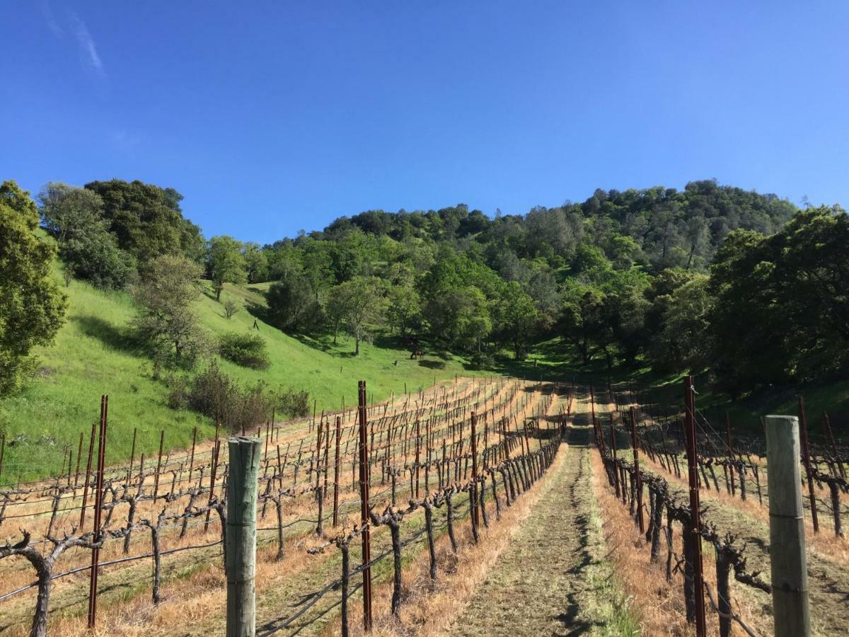 圣海伦娜Rustridge Ranch & Winery住宿加早餐旅馆 外观 照片