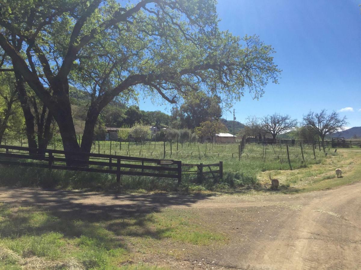 圣海伦娜Rustridge Ranch & Winery住宿加早餐旅馆 外观 照片