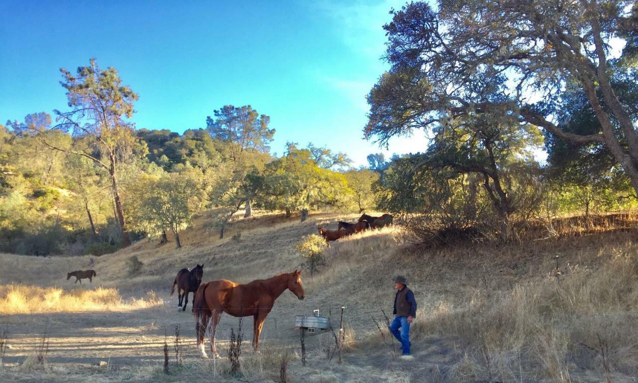 圣海伦娜Rustridge Ranch & Winery住宿加早餐旅馆 外观 照片