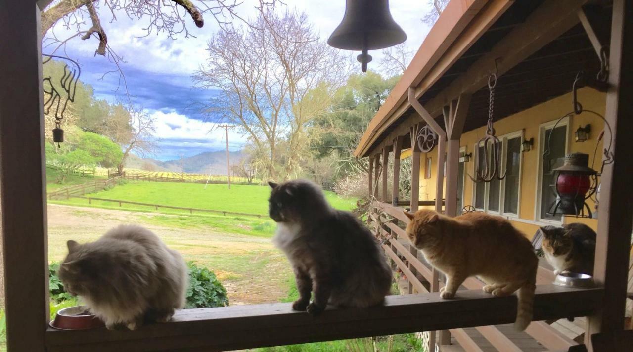 圣海伦娜Rustridge Ranch & Winery住宿加早餐旅馆 外观 照片