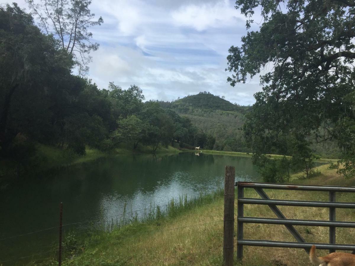 圣海伦娜Rustridge Ranch & Winery住宿加早餐旅馆 外观 照片